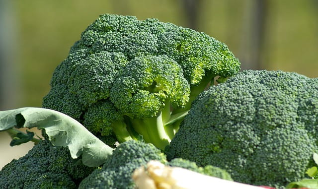 Brokkoli, das Superfood