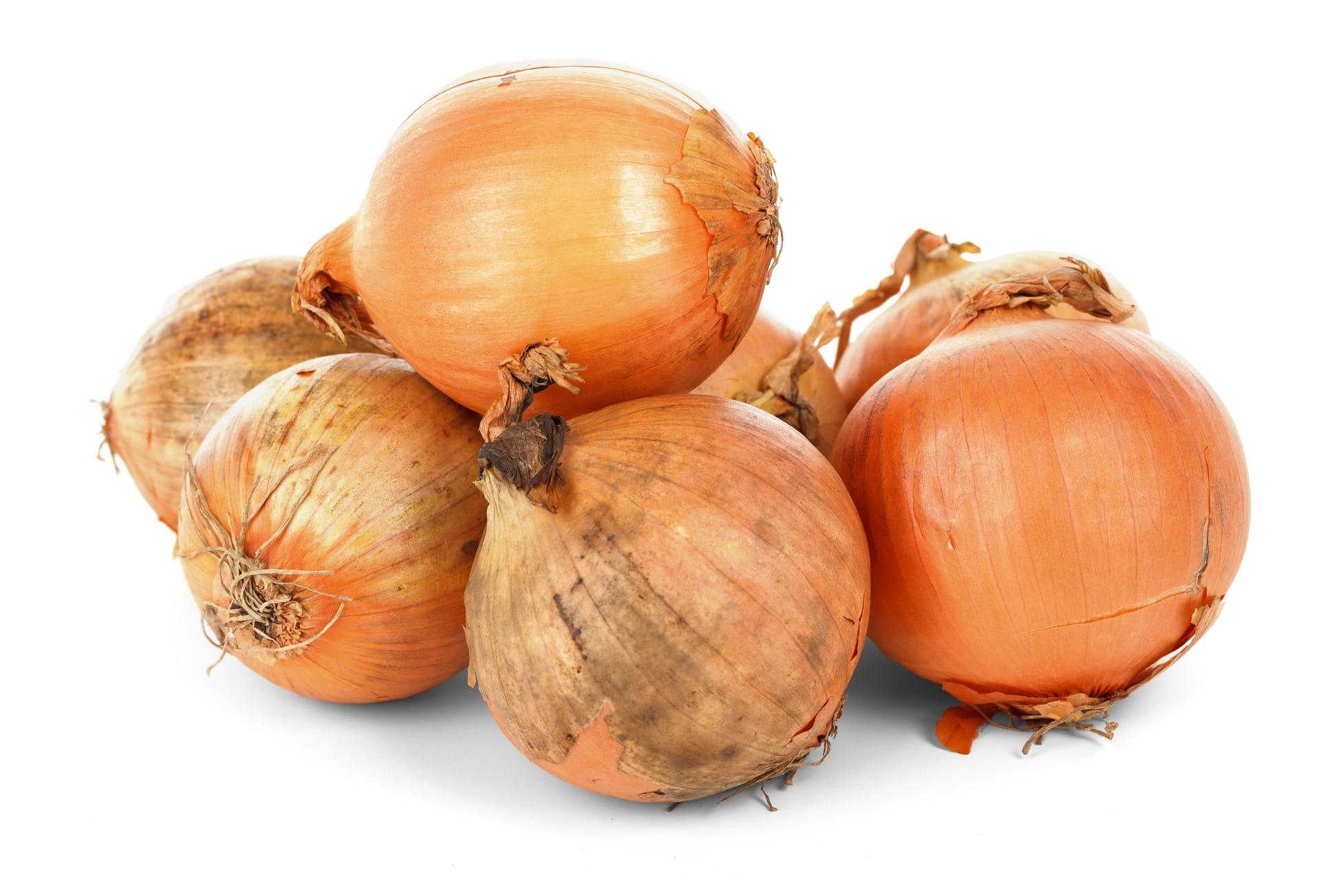 NL Haushalts Zwiebeln 1Kg Netz