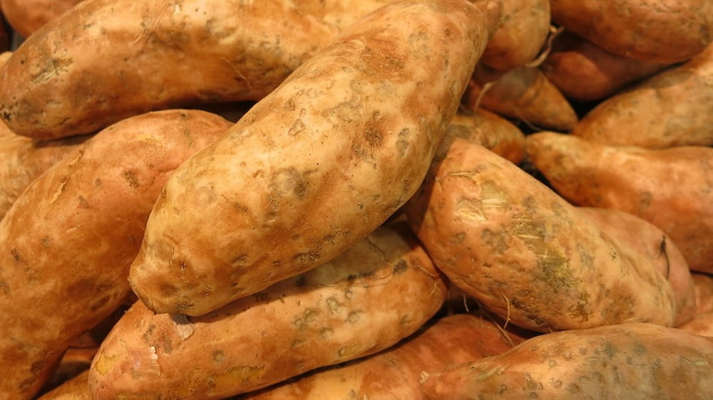 sweet-potatoes-1528665_1280