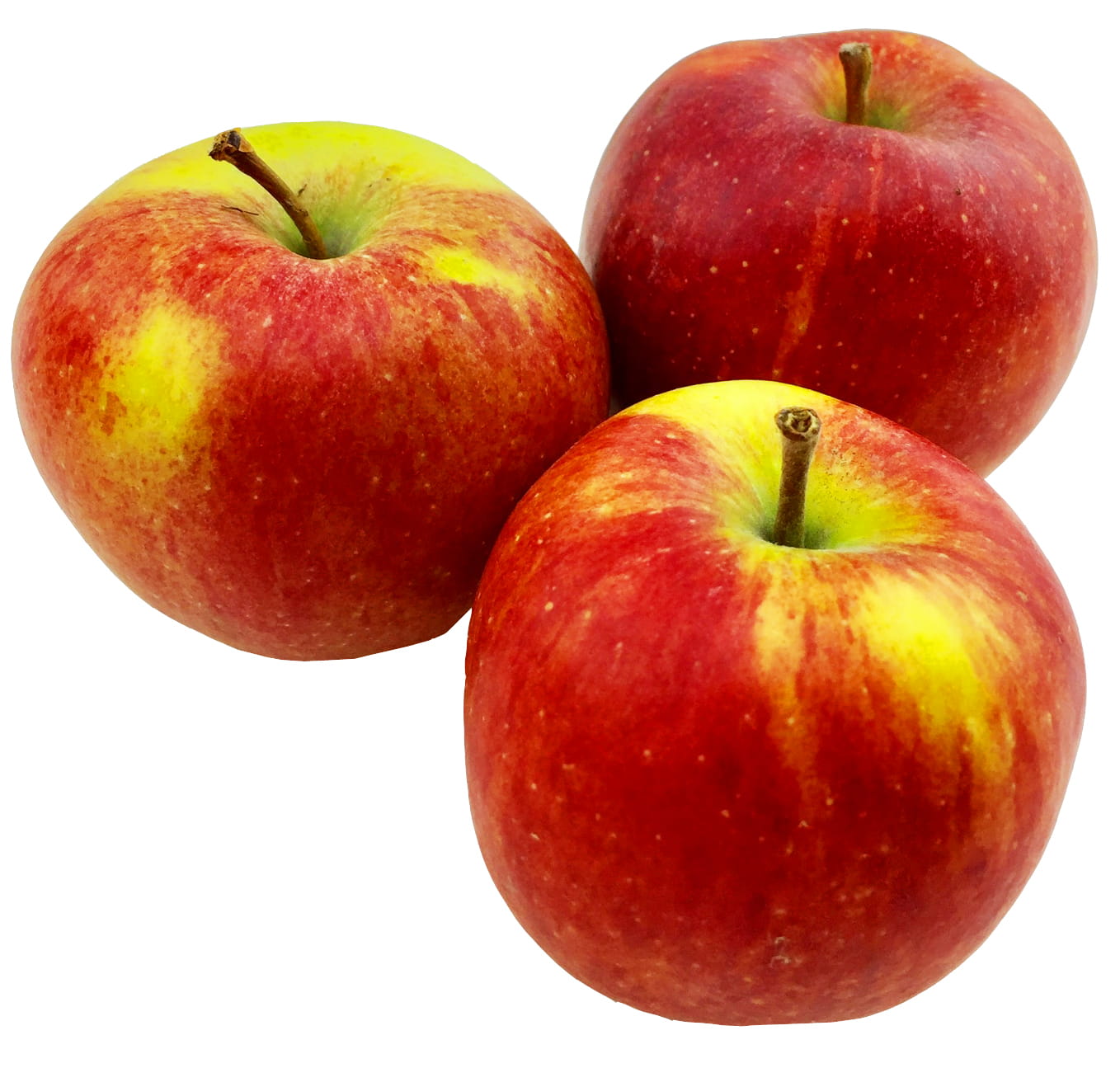 Elstar Äpfel 1 Kg Deutschland HKL I säuerlich bissfest